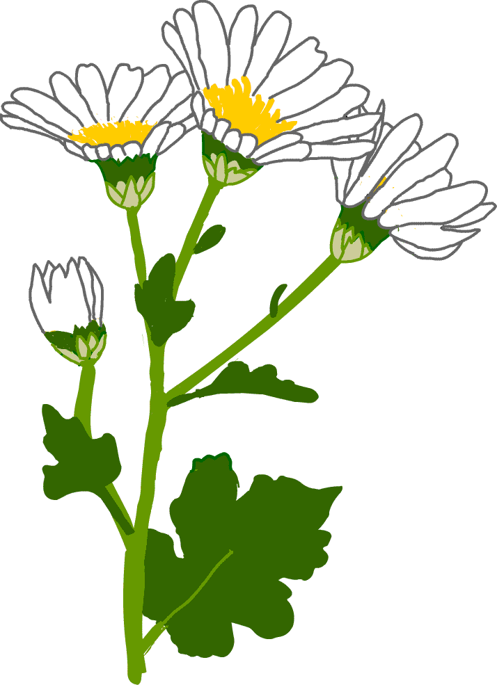 �e�̃A�C�R��