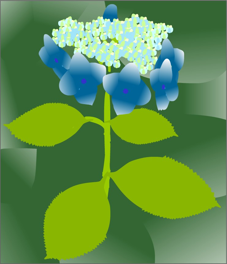 ��������