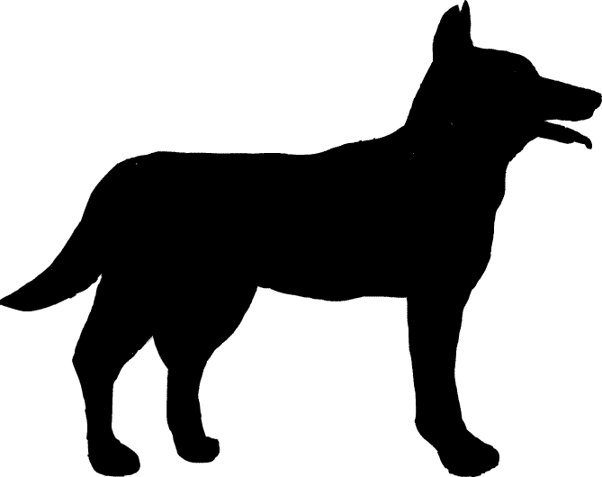 ���̃V���G�b�g