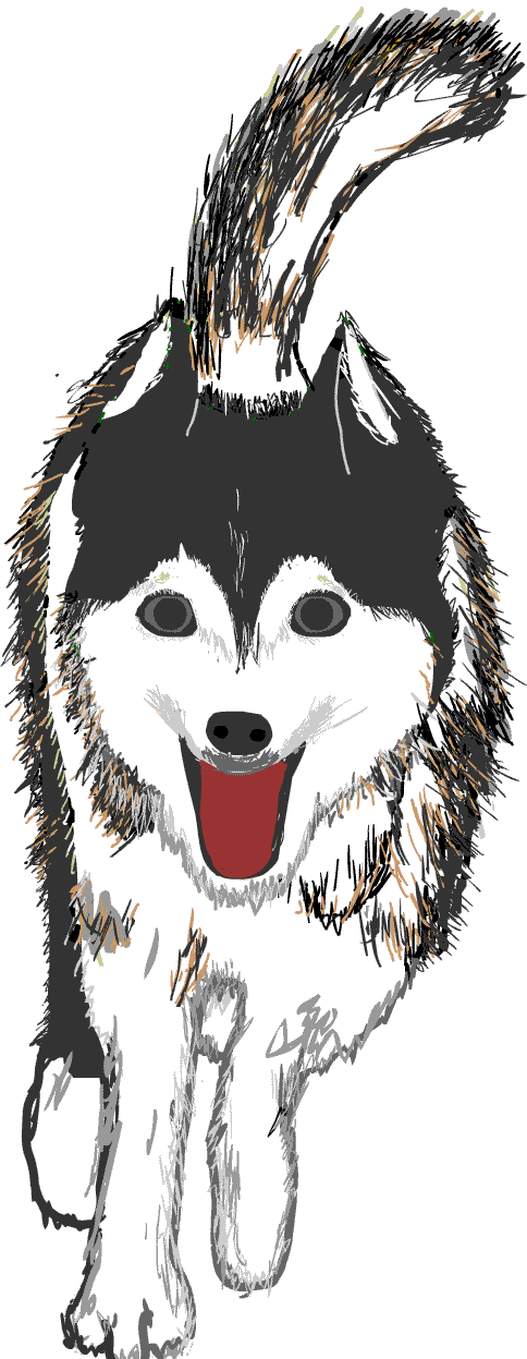 �n�X�L�[��