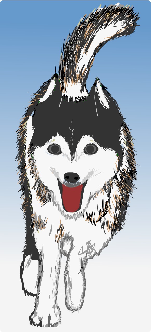 �n�X�L�[��