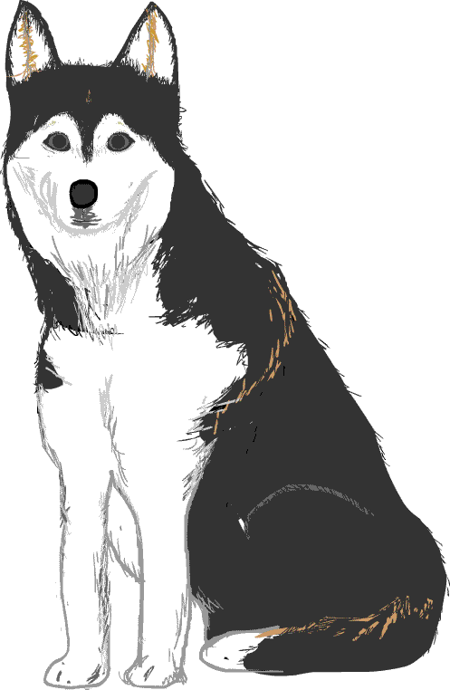 �n�X�L�[��