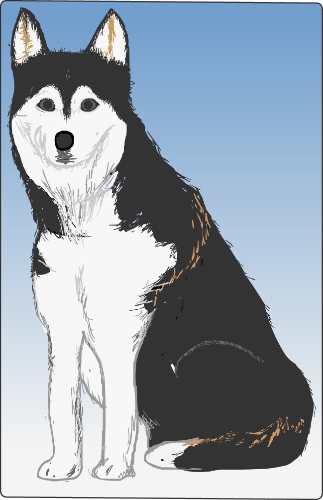 �n�X�L�[��