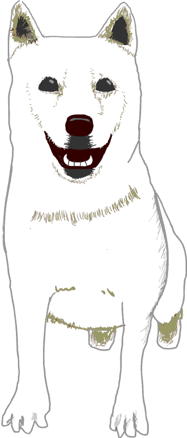 �j�`�h�j�t�m