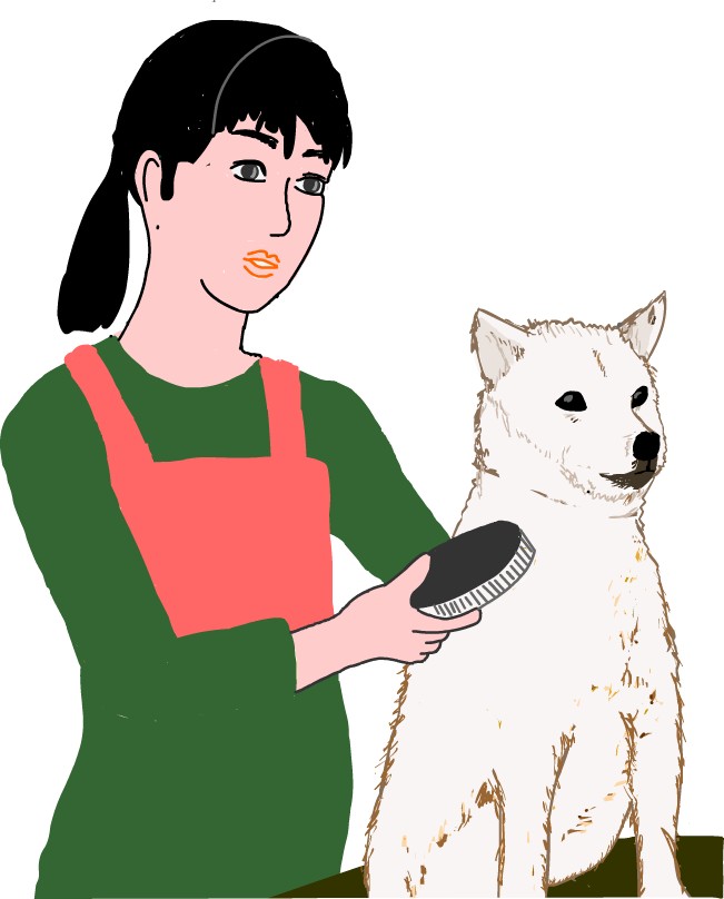 �y�b�g�V���b�v�X��