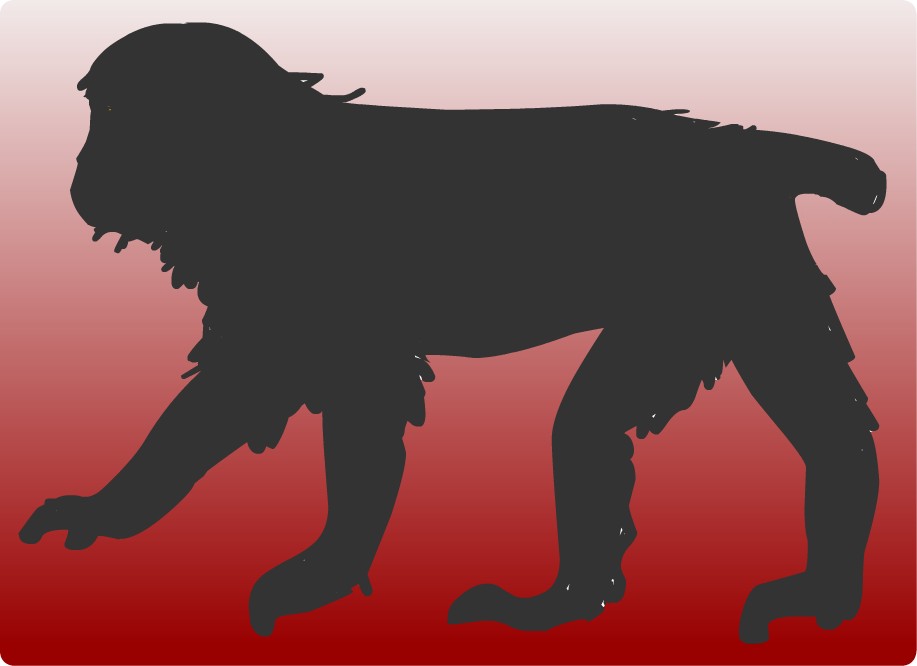 �j�z���U��