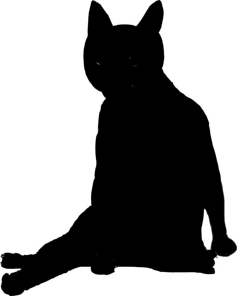 �L�̃V���G�b�g