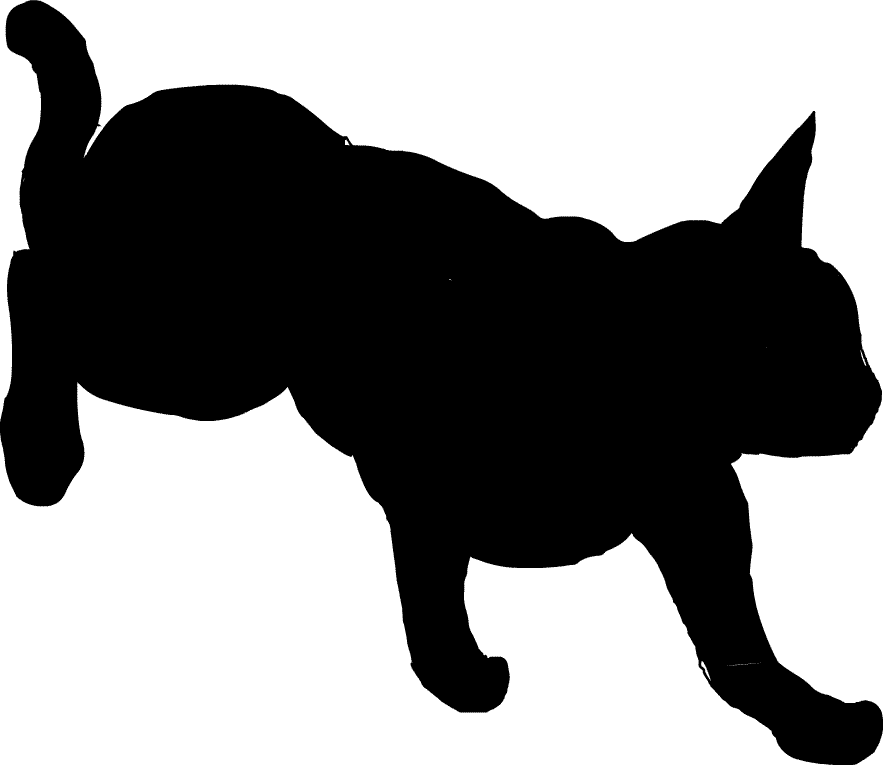 �L�̃V���G�b�g