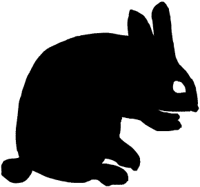 ��������Ⴂ�܂�