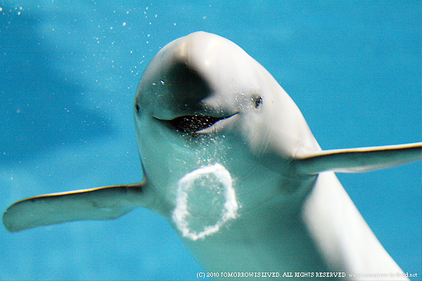 �X�i����