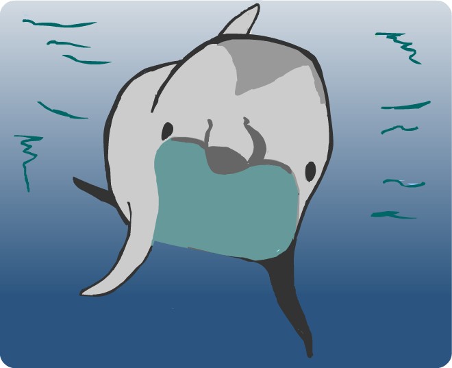 dolphin