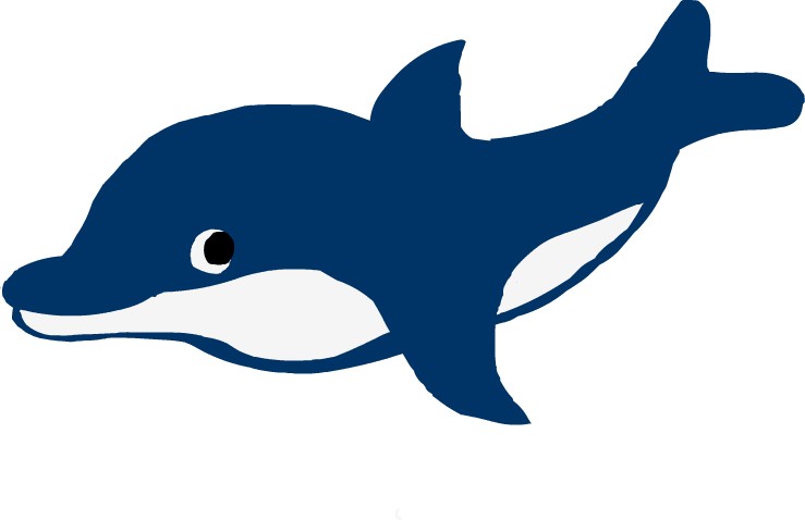 dolphin