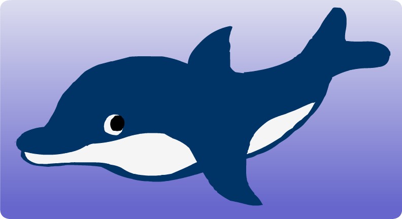 dolphin