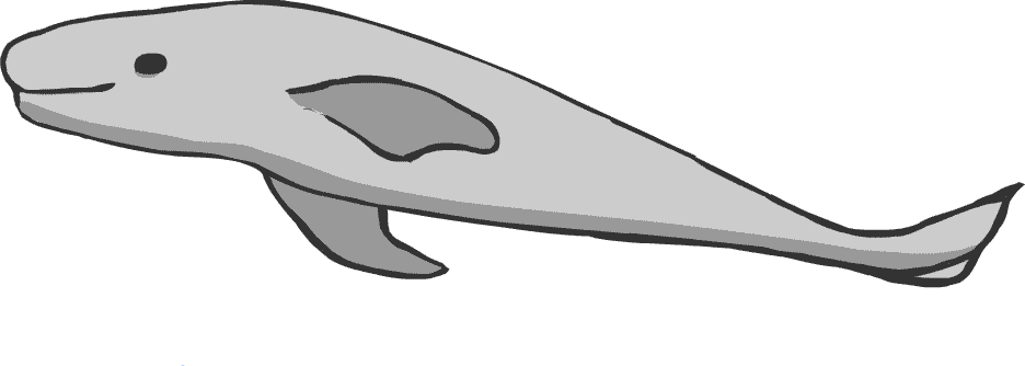 �X�i����