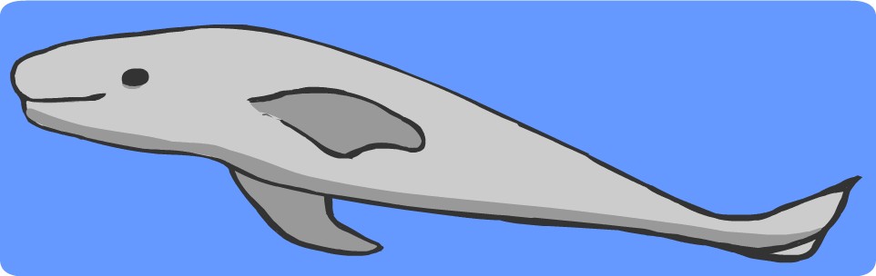 �X�i����