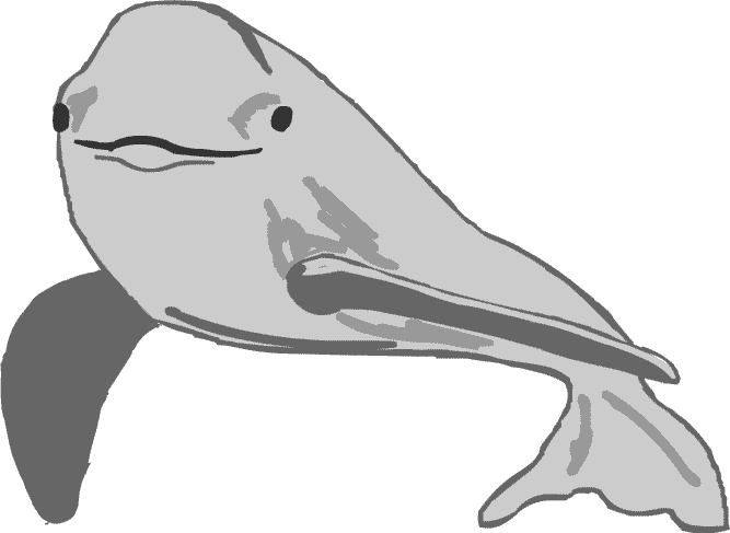 �X�i����