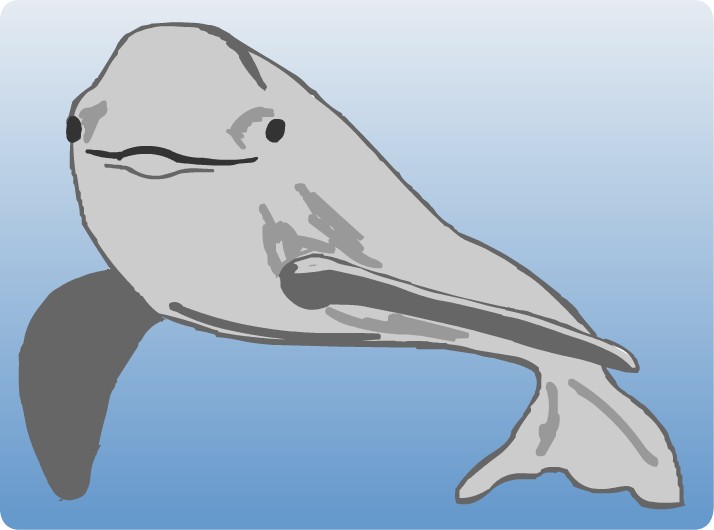 �X�i����