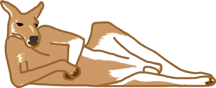 �J���K���[