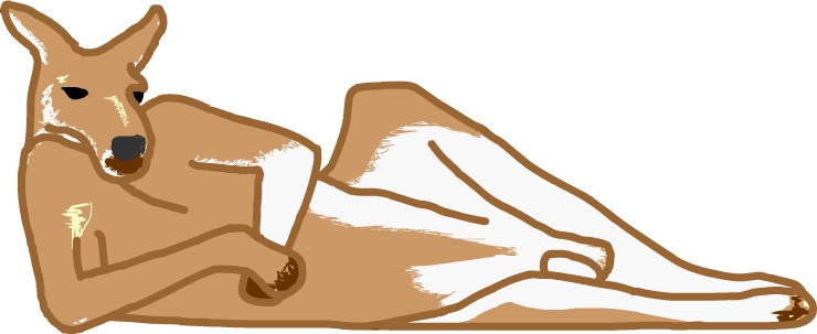 �J���K���[