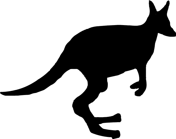 �J���K���[