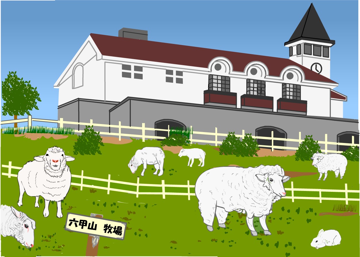 �Z�b�R�q��