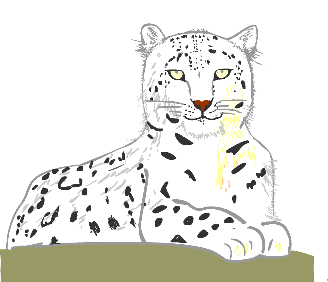 ���L�q���E