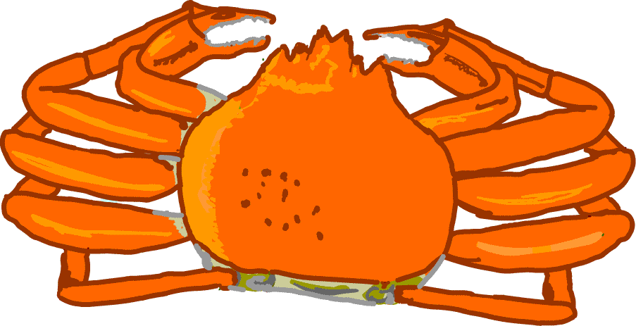 �~�̖��o�@�J�j