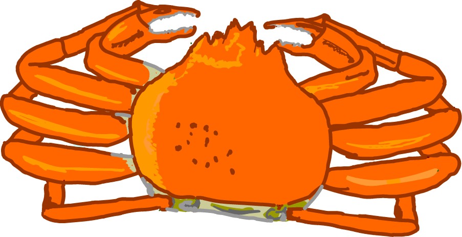 �~�̖��o�@�J�j