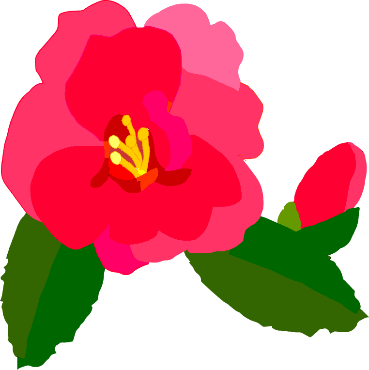 �����񂩁@����