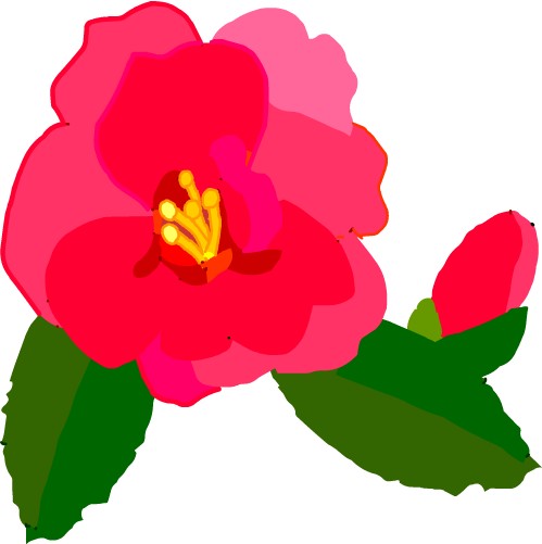 �����񂩁@����