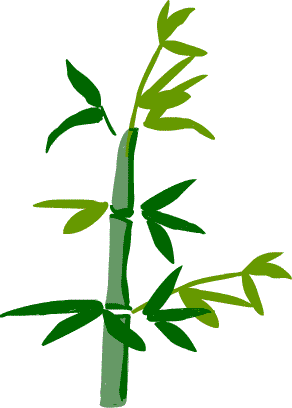 �N��p�f��