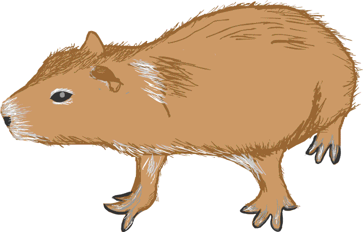 �J�s�o���̃C���X�g