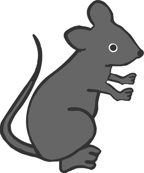 �l�Y�~�̃C���X�g