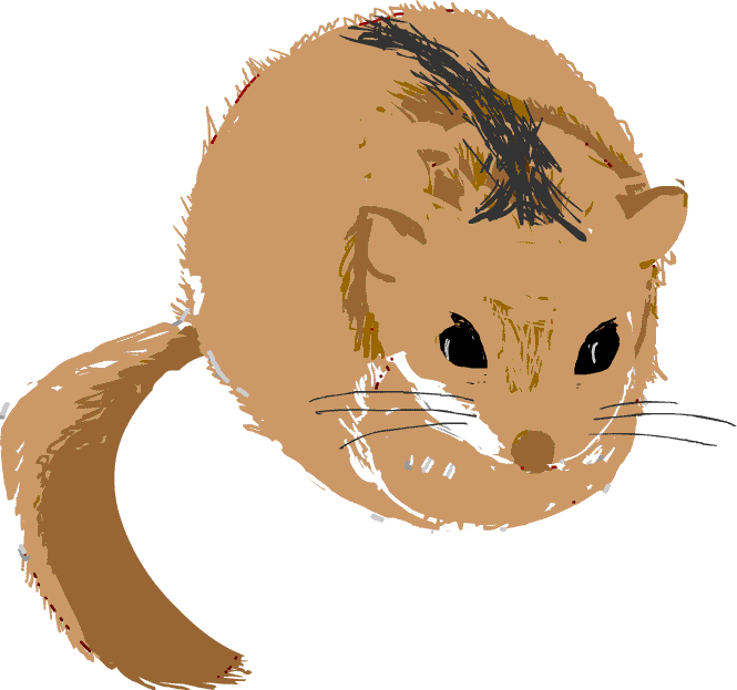 ���}�l�̉摜