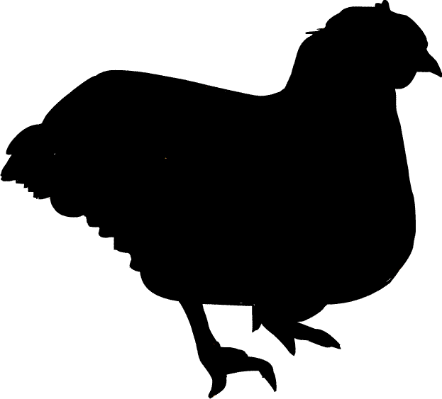 �{�̃V���G�b�g