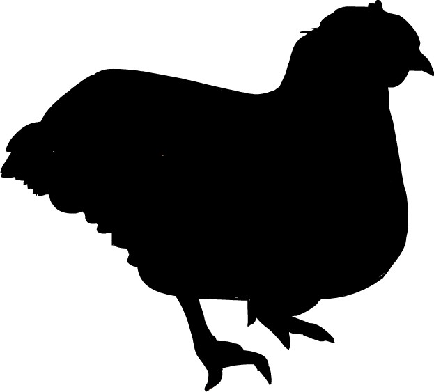 �{�̃V���G�b�g