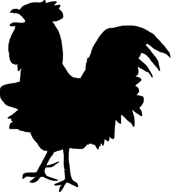 �{�̃V���G�b�g