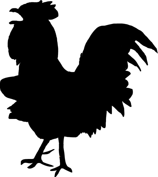 �{�̃V���G�b�g