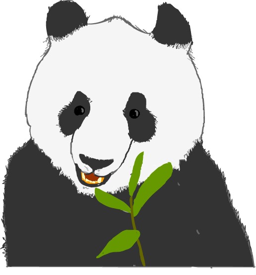 �W���C�A���g�p���_