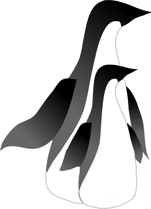 penguin