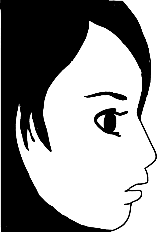 ���̉���