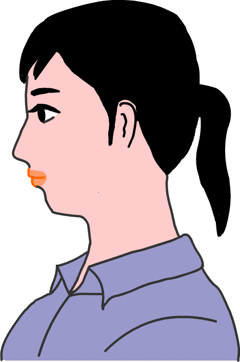 ���̉���