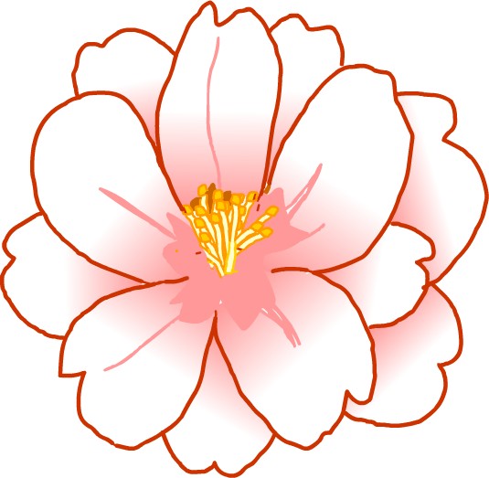 八重桜