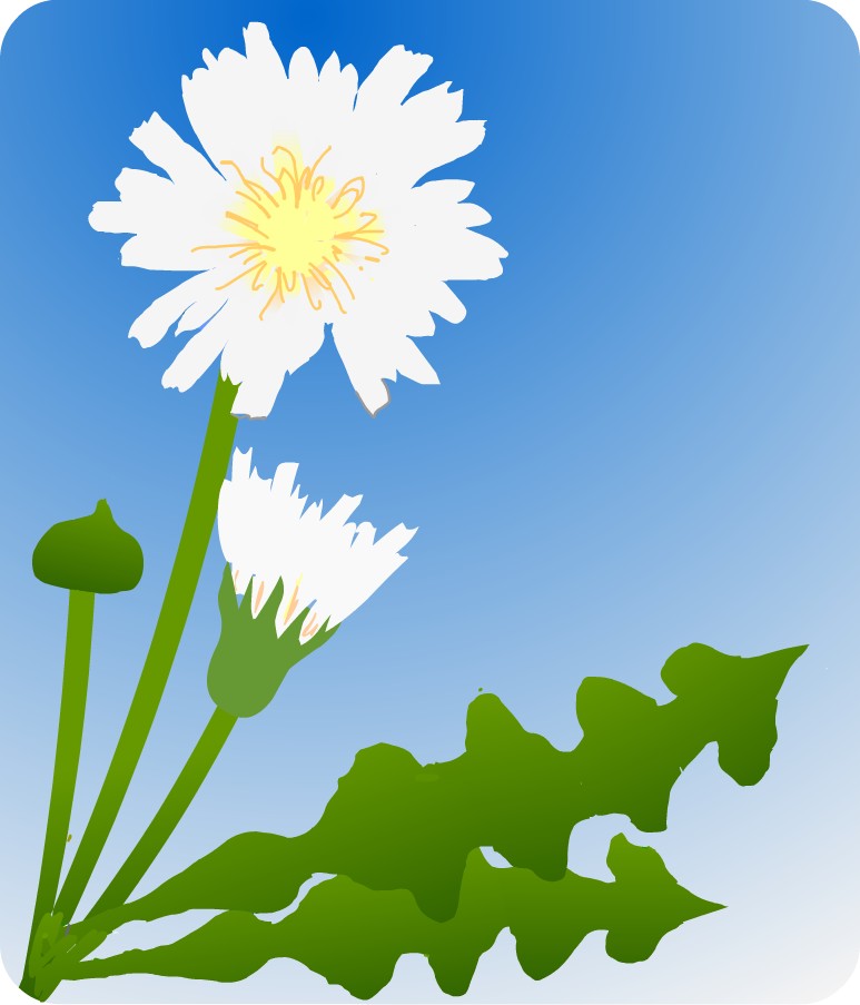 �V���o�i�^���|�|