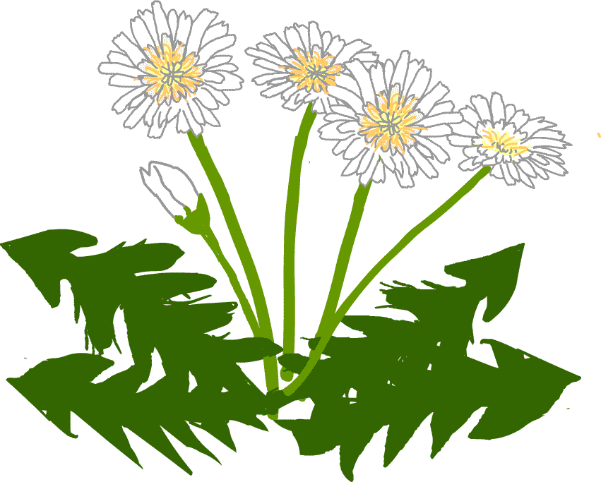 �V���o�i�^���|�|