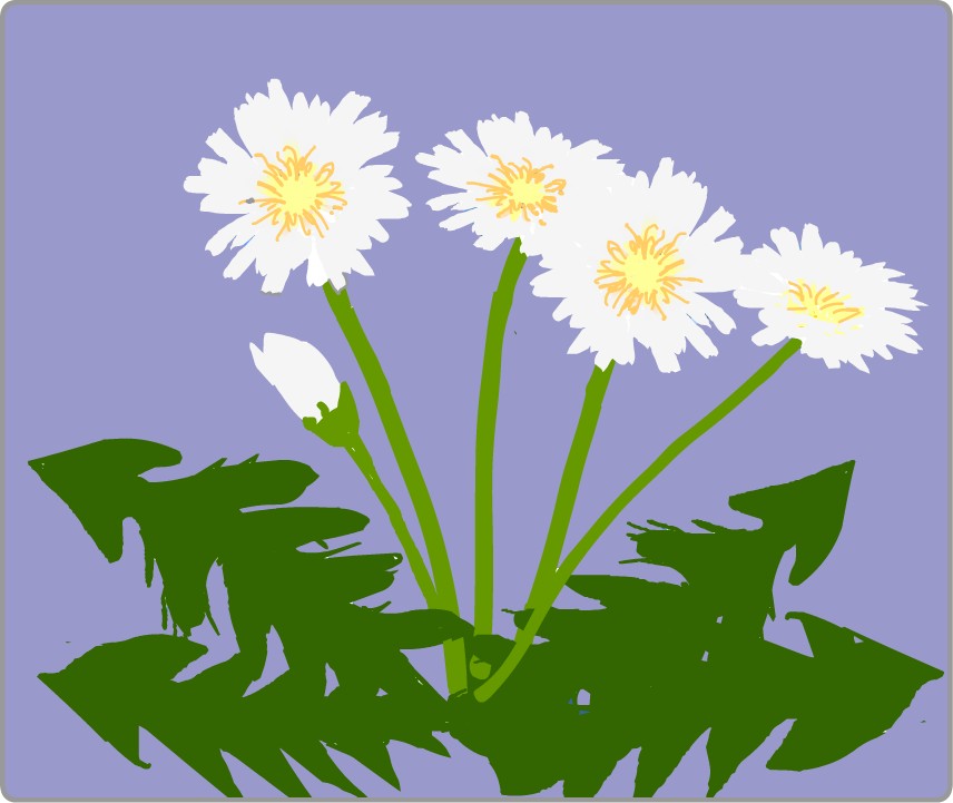 �V���o�i�^���|�|