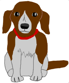 ���̂�����